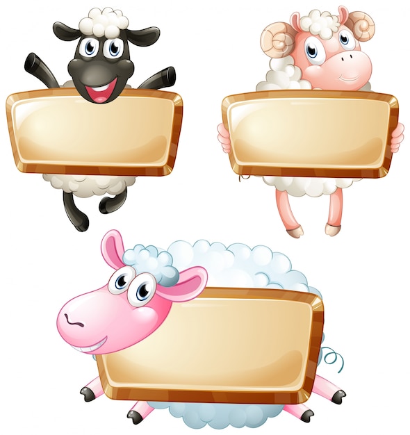 Vettore gratuito tre segni in bianco con pecore carine