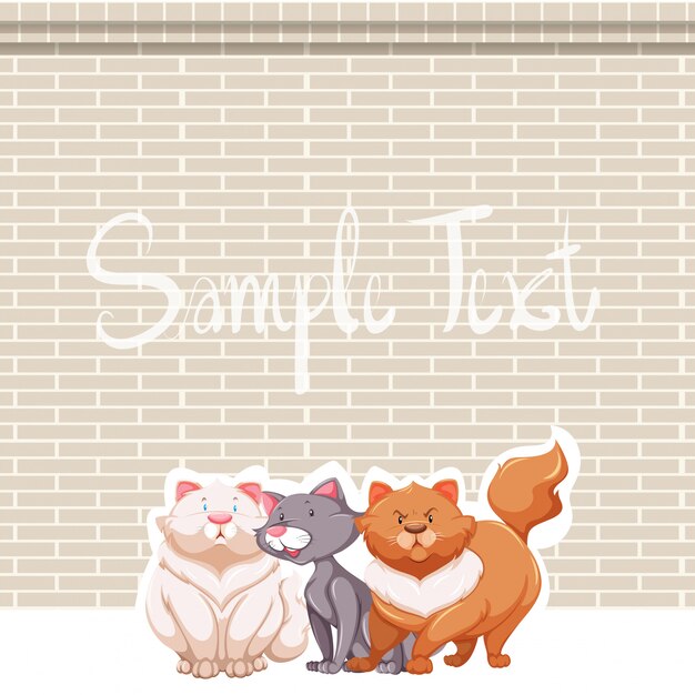Immagini Gattini Vettori Gratuiti Foto Stock E Psd