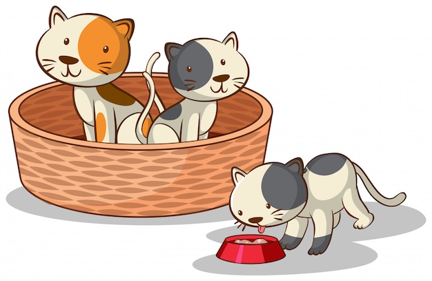 Бесплатное векторное изображение Три кошки на белом фоне