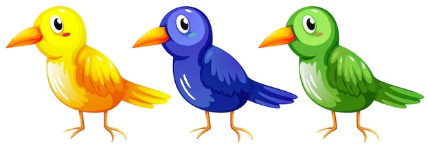 Vettore gratuito tre uccelli colorati