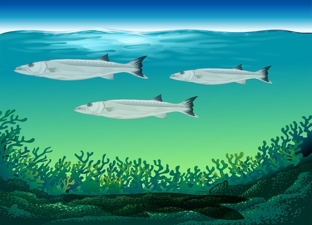 Free vector three fish swimming under the sea