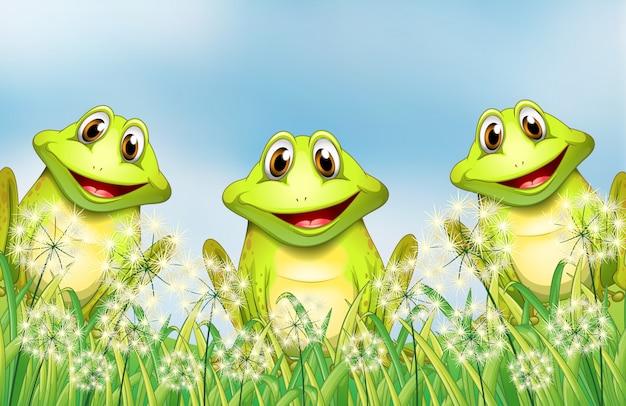 Free Vector three frogs in the garden