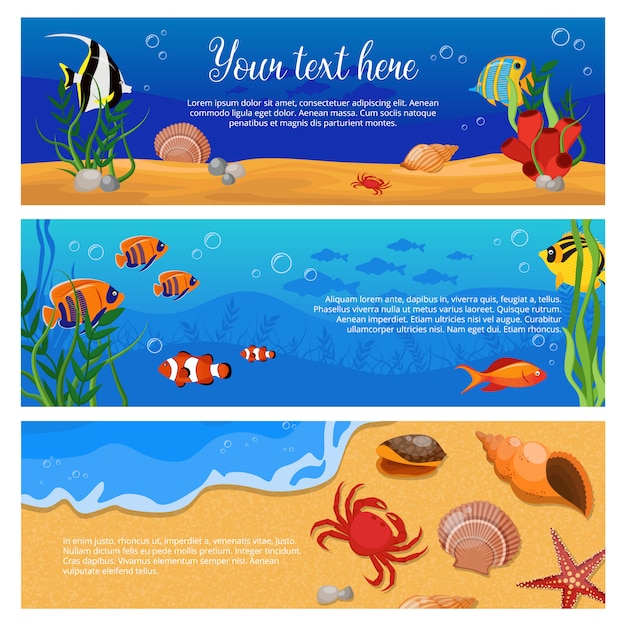 Три изолированных горизонтальных морской жизни животных растений баннер с рыбными крабами и место для текста