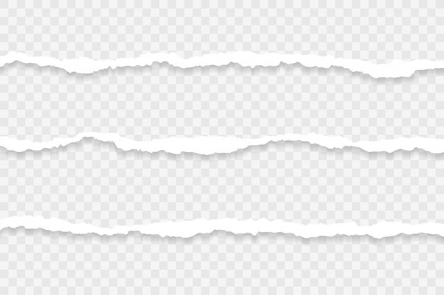 破れた紙 画像 無料のベクター ストックフォト Psd