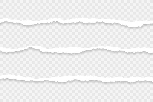 Three long piece of torn papers transparent background