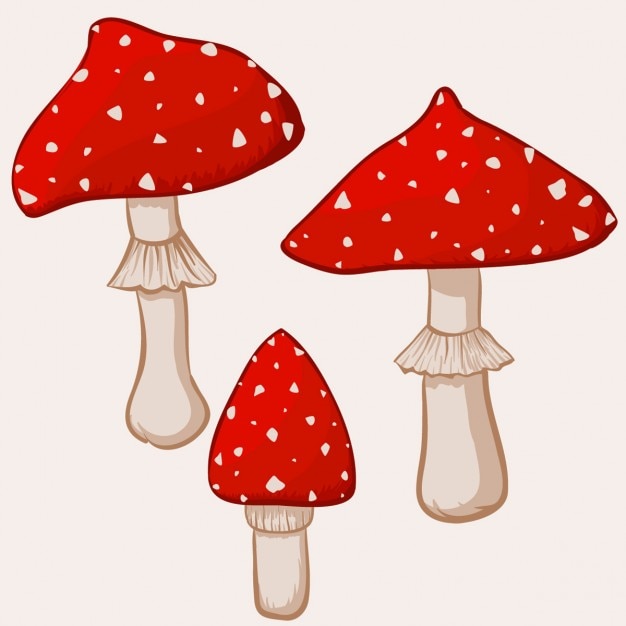 Vettore gratuito illustrazione di cartone animato amanita muscaria funghi