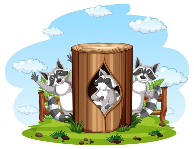 Three raccoons in the garden