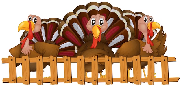Free vector three turkeys behind the fence