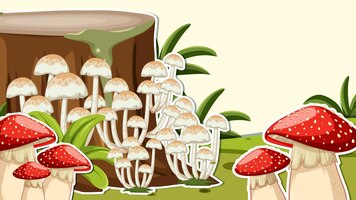 thumbnail design with mushroom and fungi
