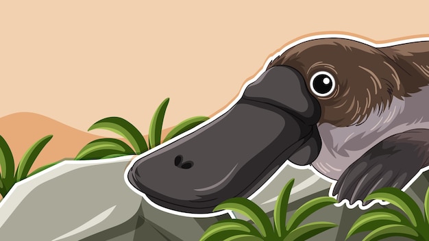 Free vector thumbnail design with platypus animal