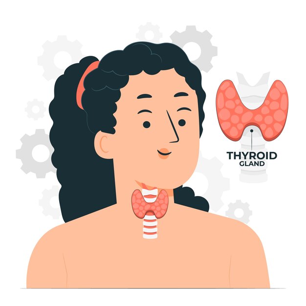 Иллюстрация концепции щитовидной железы
