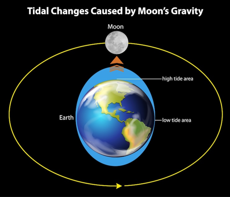 Free Vector tidal movements on earth