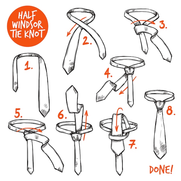 Free vector tie knot sketch