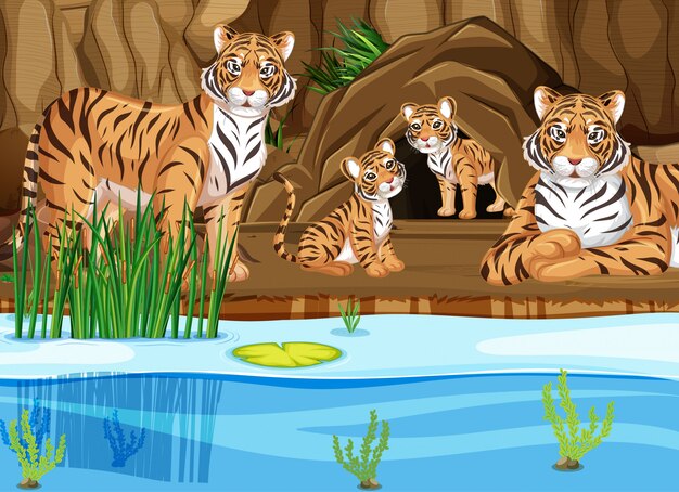 池のそばのトラ家族