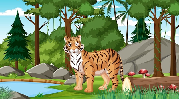 A tiger in forest or rainforest scene with many trees