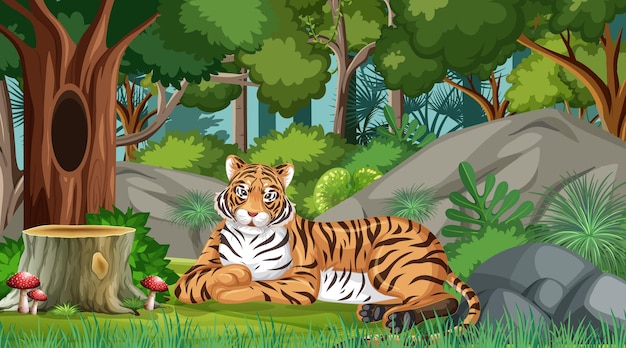 A tiger in forest or rainforest scene with many trees