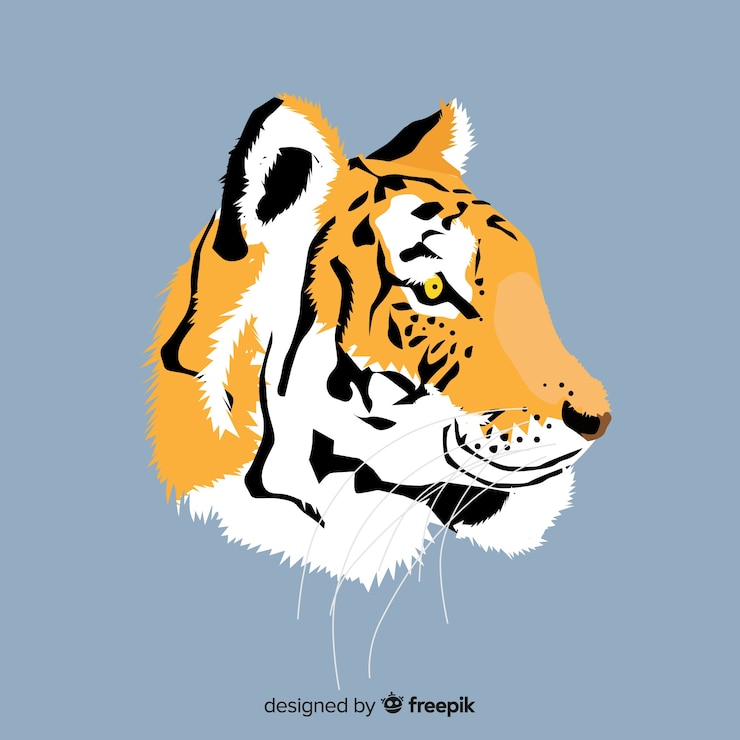 Free Vector tiger head