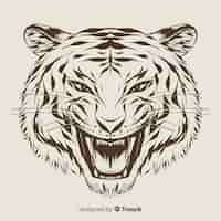 Free vector tiger head