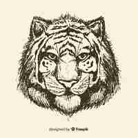 Free vector tiger head