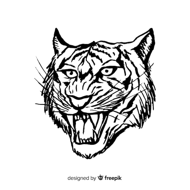 Tiger head