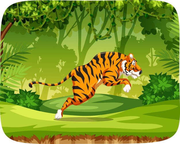 Tiger in jungle scene
