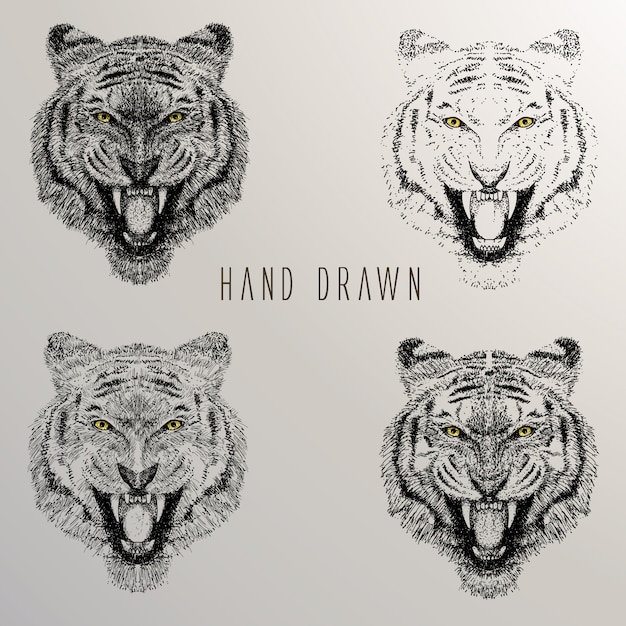 Free vector tiger's head hand drawn collection