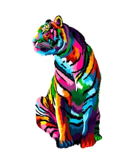 Tiger sitting from multicolored paints splash of watercolor colored drawing realistic