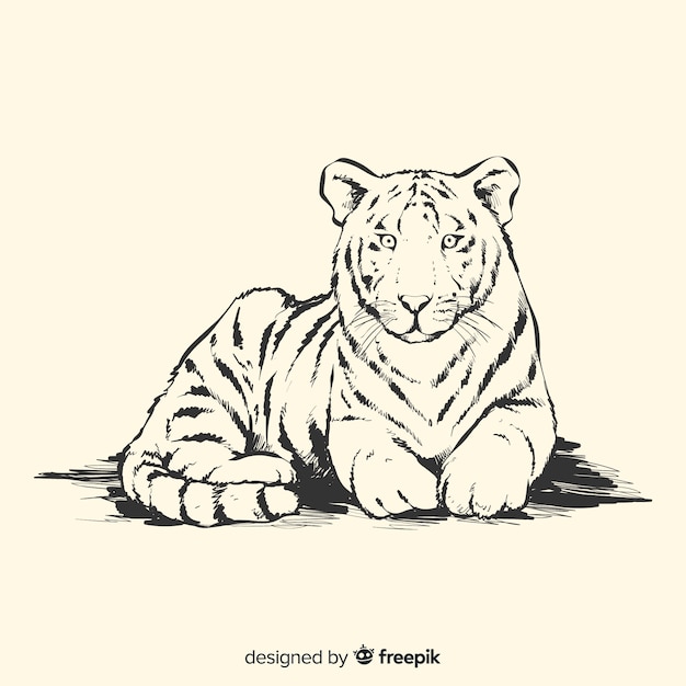 Free vector tiger