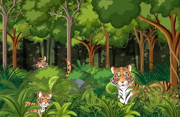 Tigers hidden in tropical forest background