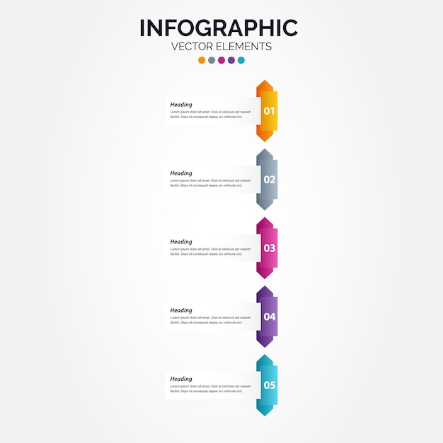 Timeline 5 Options Vertical Infographic For Presentations Workflow Process Diagram Flow Chart Report