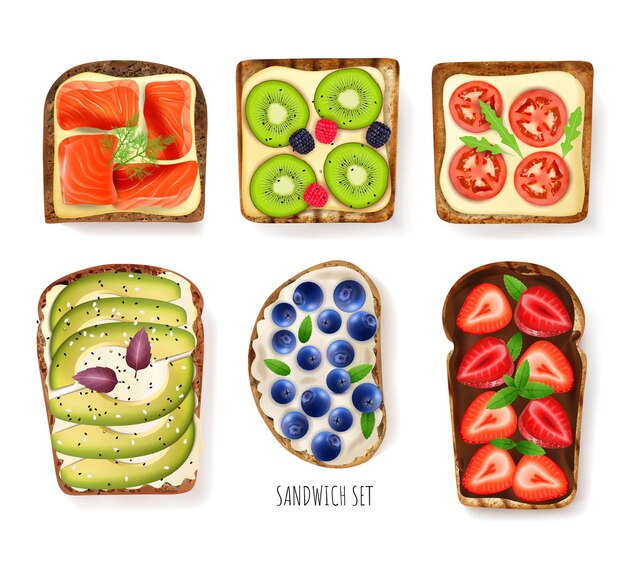 Toast bread toppings set with berries realistic isolated illustration