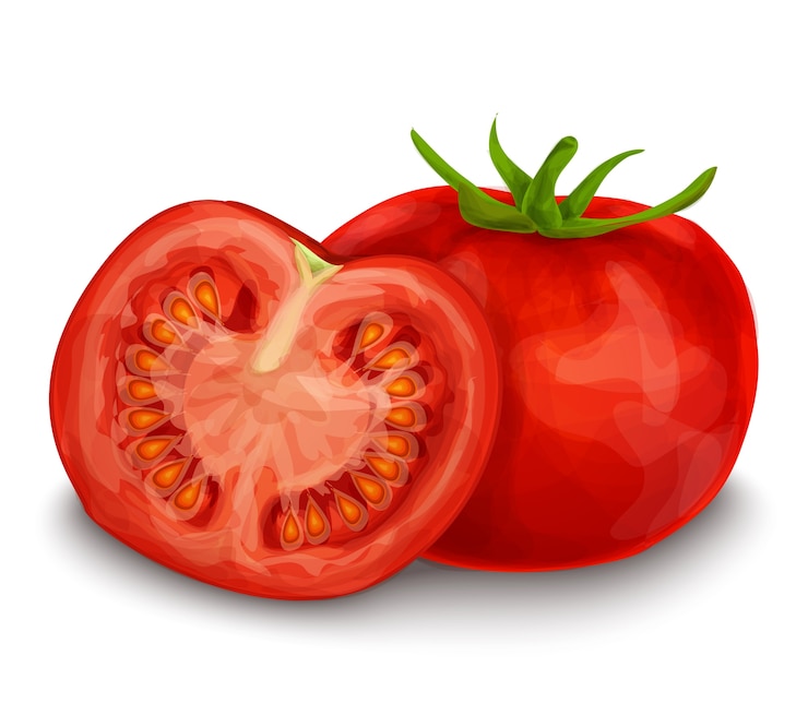 Free Vector tomato