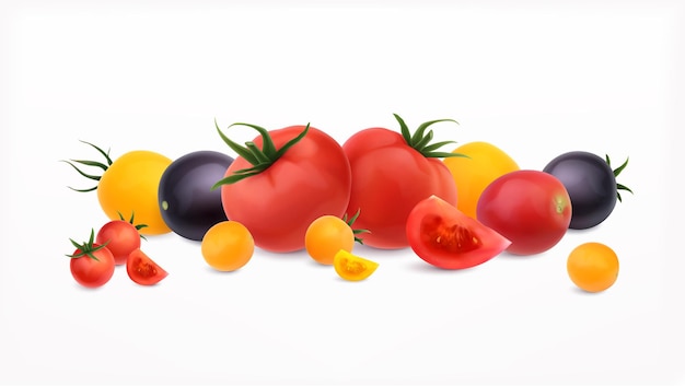 tomatoes realistic set illustration