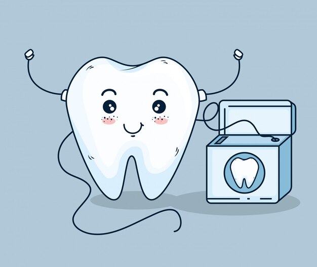 치실로 치아 관리 치료