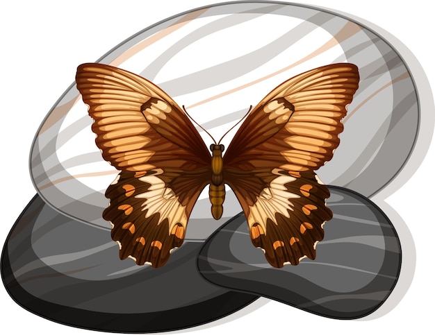 Free vector top view of butterfly on a stone on white