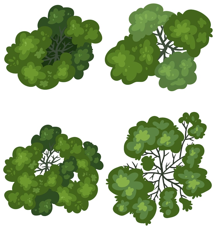 Free Vector top view of diverse greenery