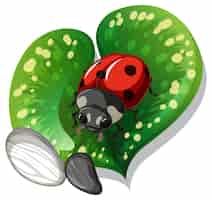 Free vector top view of ladybug on a leaf isolated