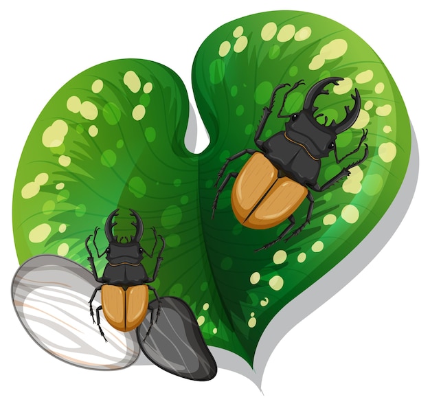 Free vector top view of many stag beetles on a leaf isolated