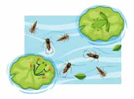 無料ベクター 池の水生昆虫の上面図