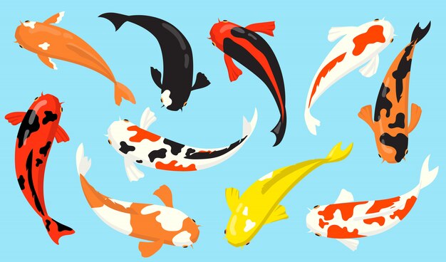無料の 魚 ベクター 32 000 Ai画像 Epsフォーマット