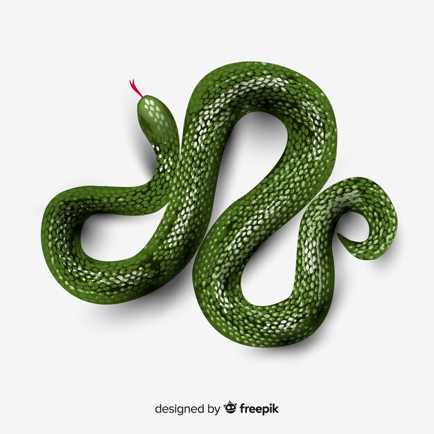 蛇 画像 無料のベクター ストックフォト Psd