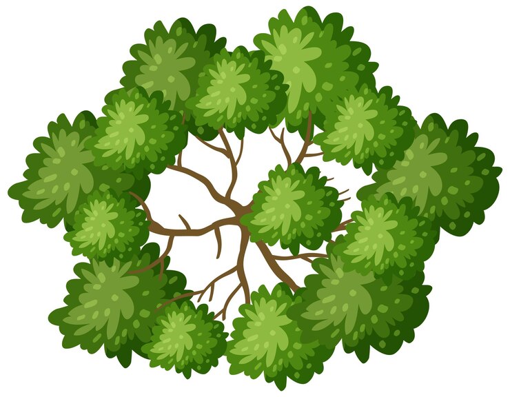 Free Vector top view of a tree with branches isolated on white background