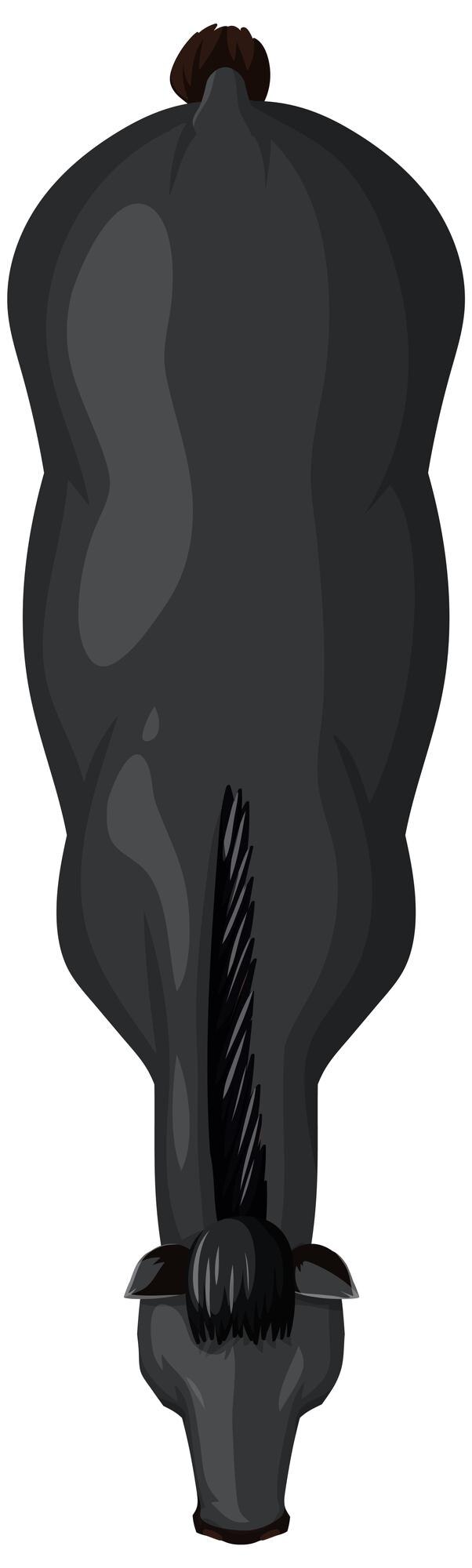 Free Vector topdown view of a black horse