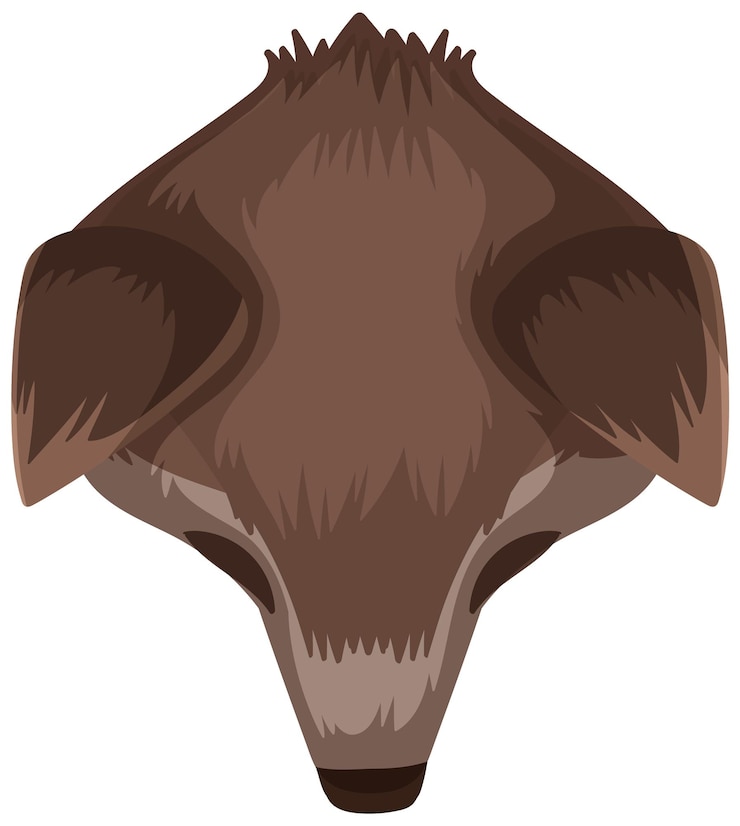 Free Vector topdown view of a brown animal