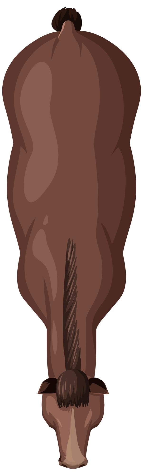 Free Vector topdown view of a horse