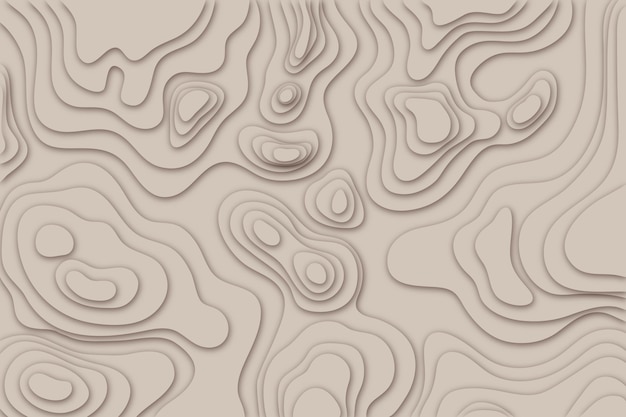 Topographic map background concept