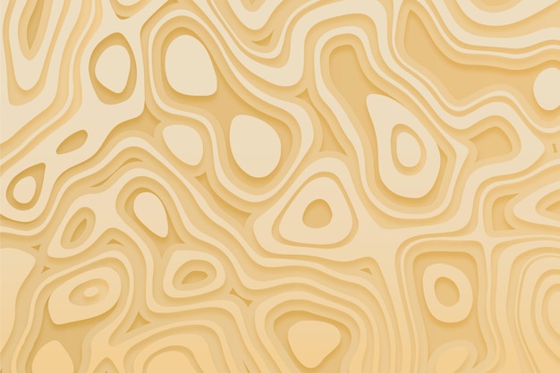 Topographic map background concept