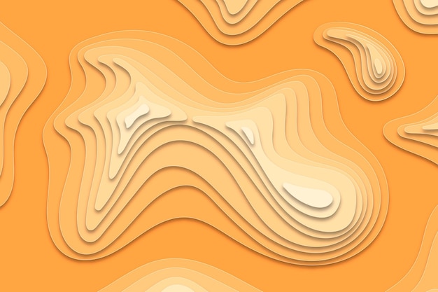 Topographic map background concept