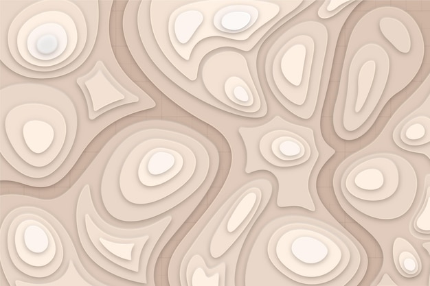 Topographic map background