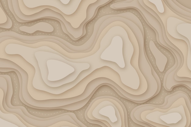 Topographic map background